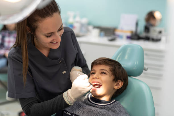 Best Emergency Dentist for Knocked-Out Tooth in Bunker Hl, IL