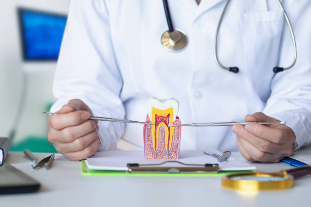 Best 24-Hour Emergency Dentist in Bunker Hl, IL